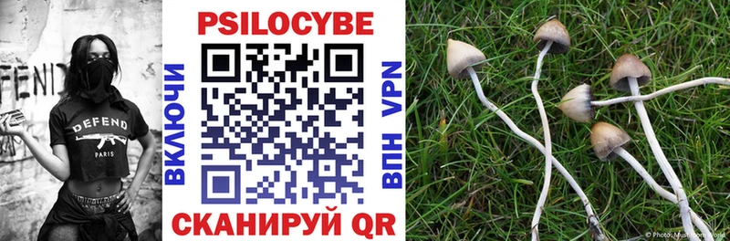 Псилоцибиновые грибы Psilocybe  Кола 